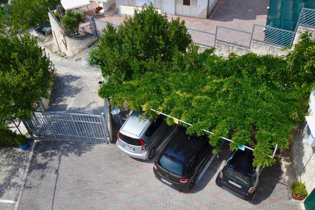 B&B Il Giardino Stellato Vieste Exterior photo
